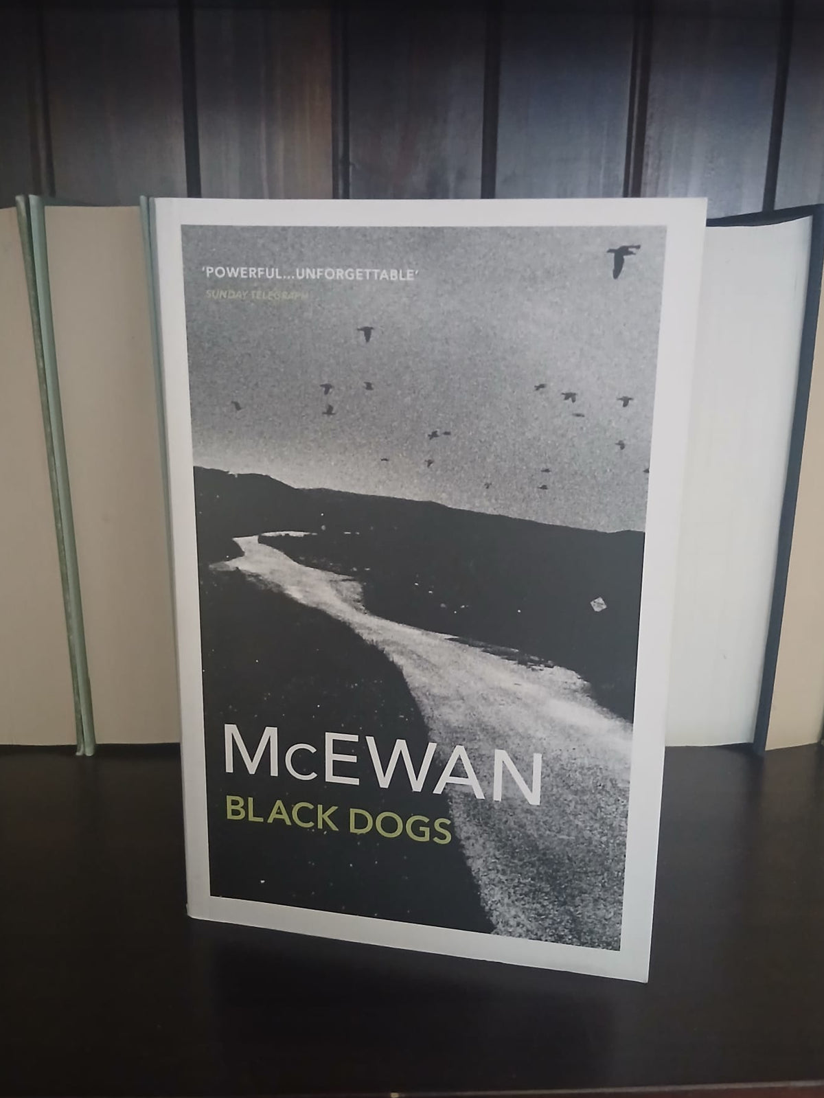 McEwan, Ian - Black Dogs
