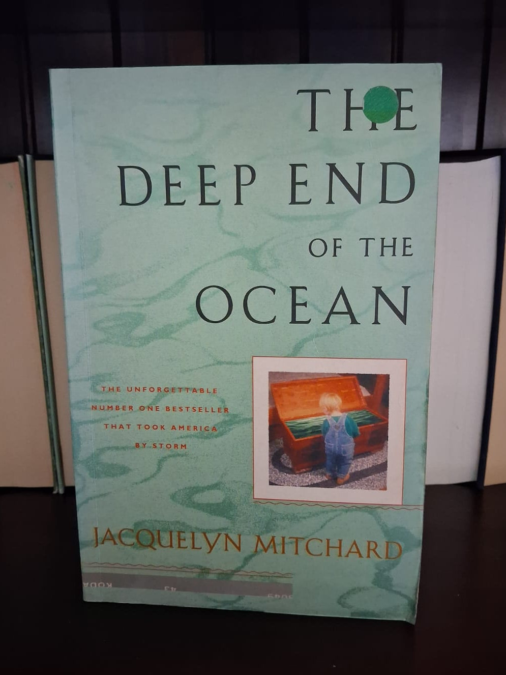 Mitchard, Jacquelyn - The Deep End of the Ocea