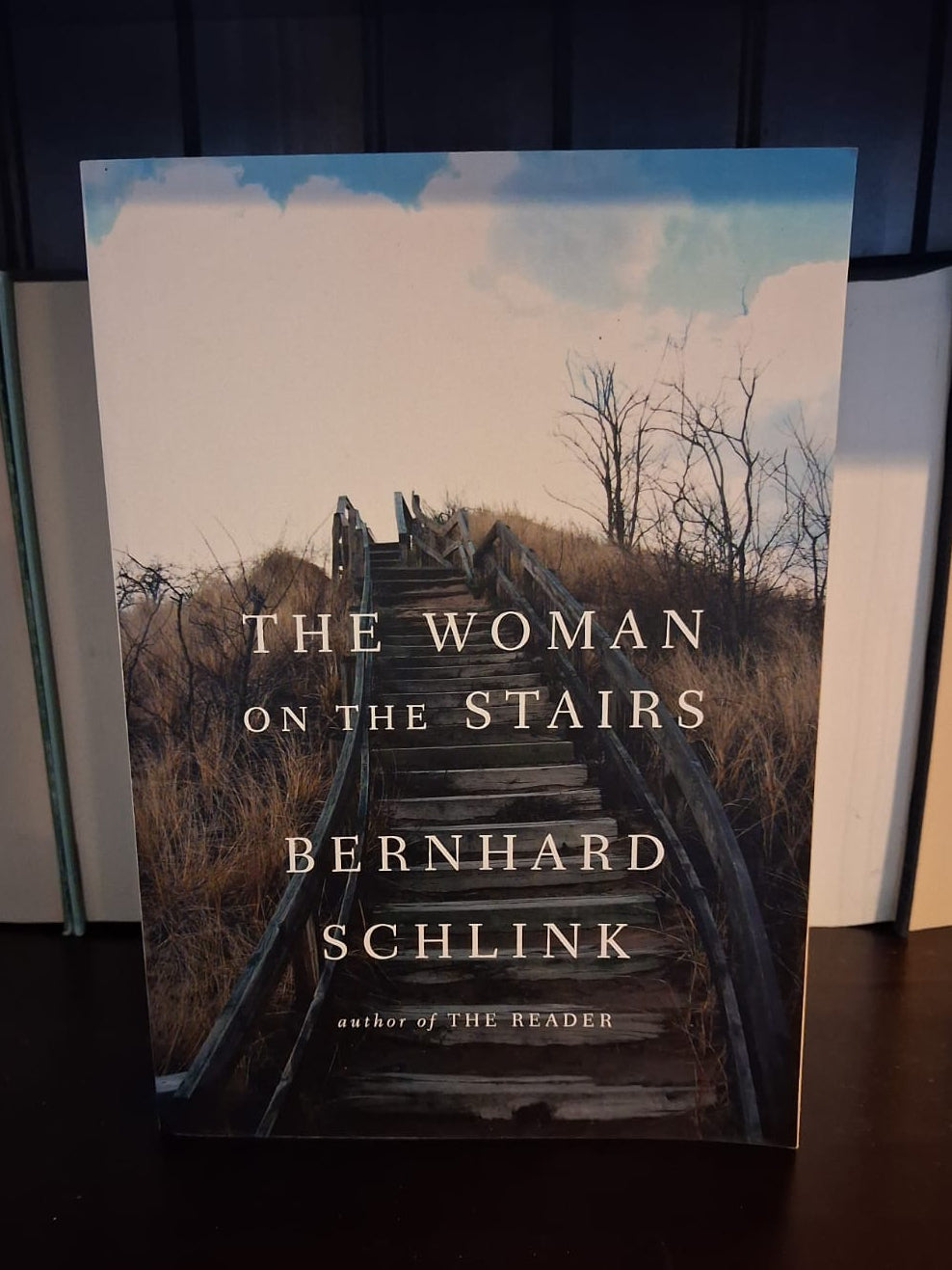 Schlink, Bernhard - The Woman on the Stairs