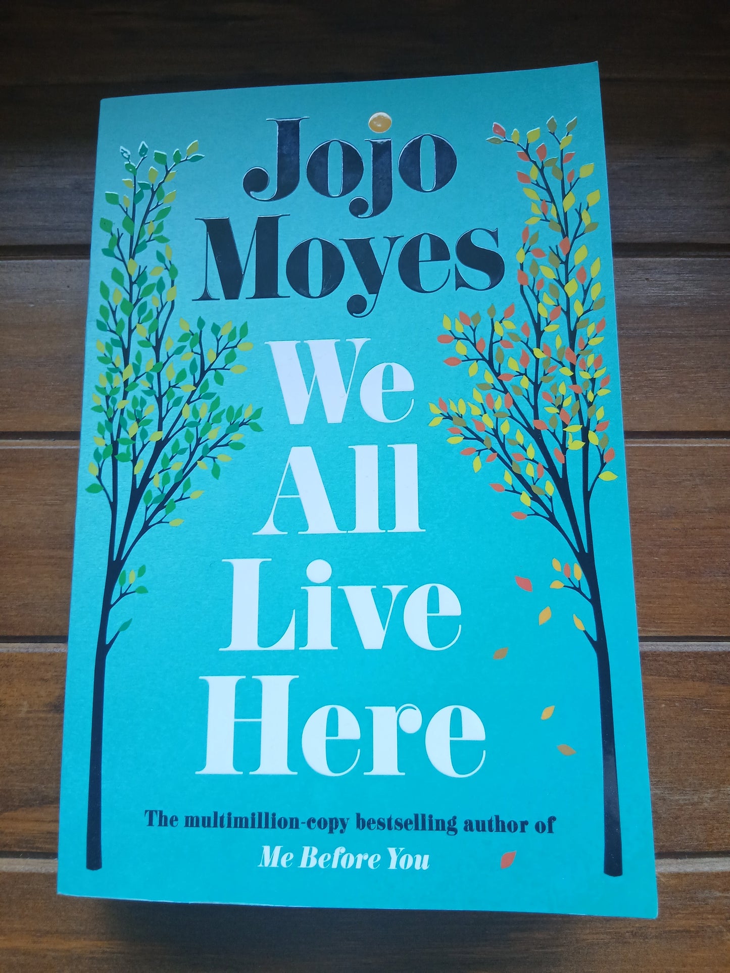 Moyes, Jojo - We All Live Here
