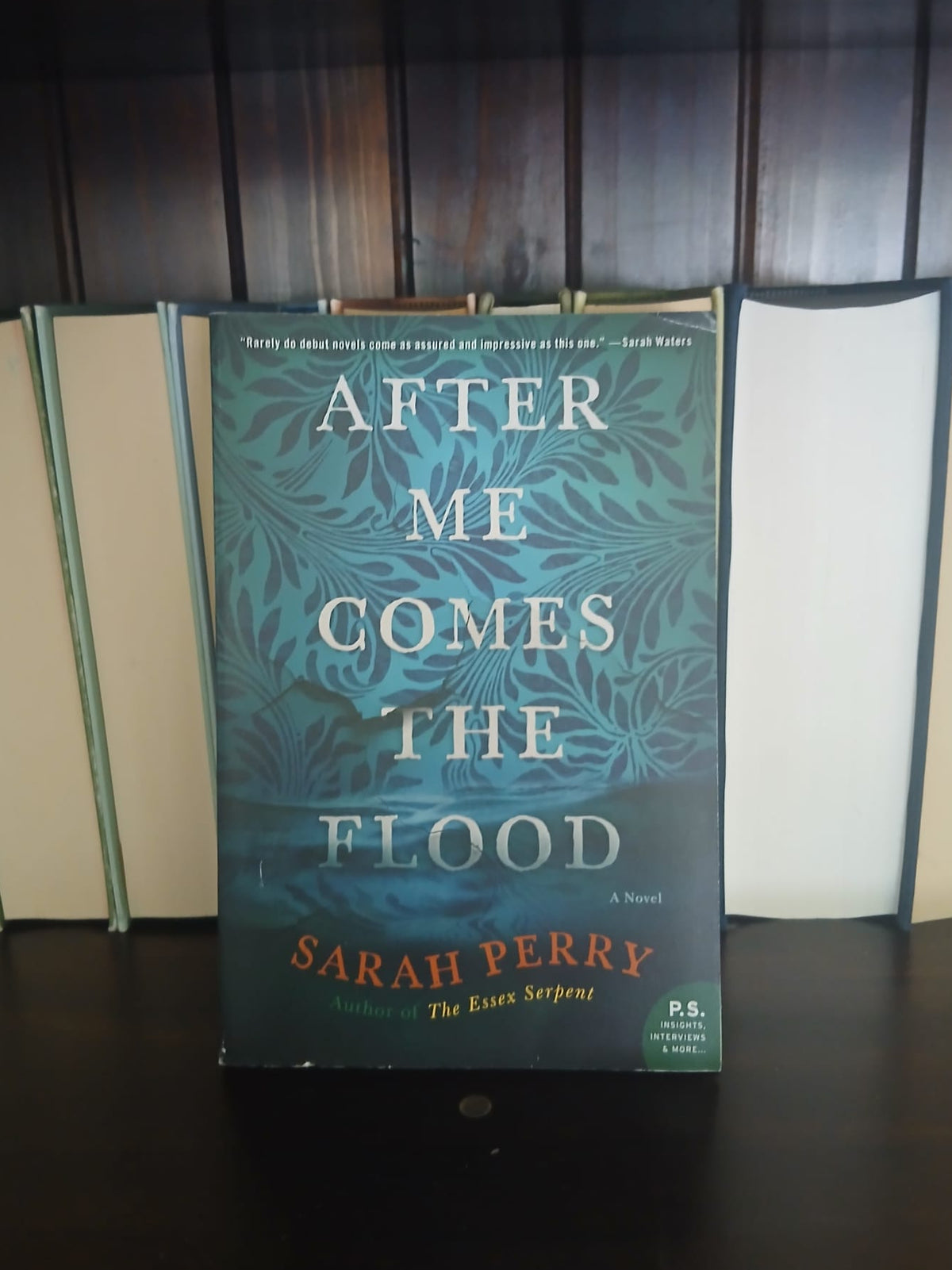 Perry, Sarah - After Me Comes The Flood