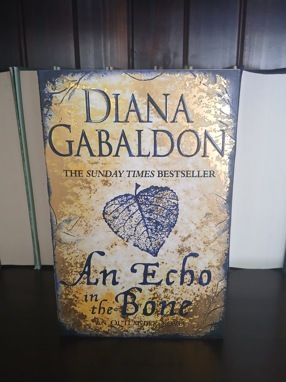 Gabaldon, Diana - An Echo in the Bone