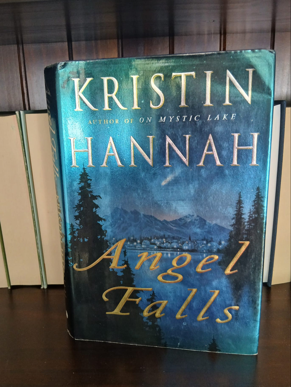 Hannah, Kristin - Angel Falls