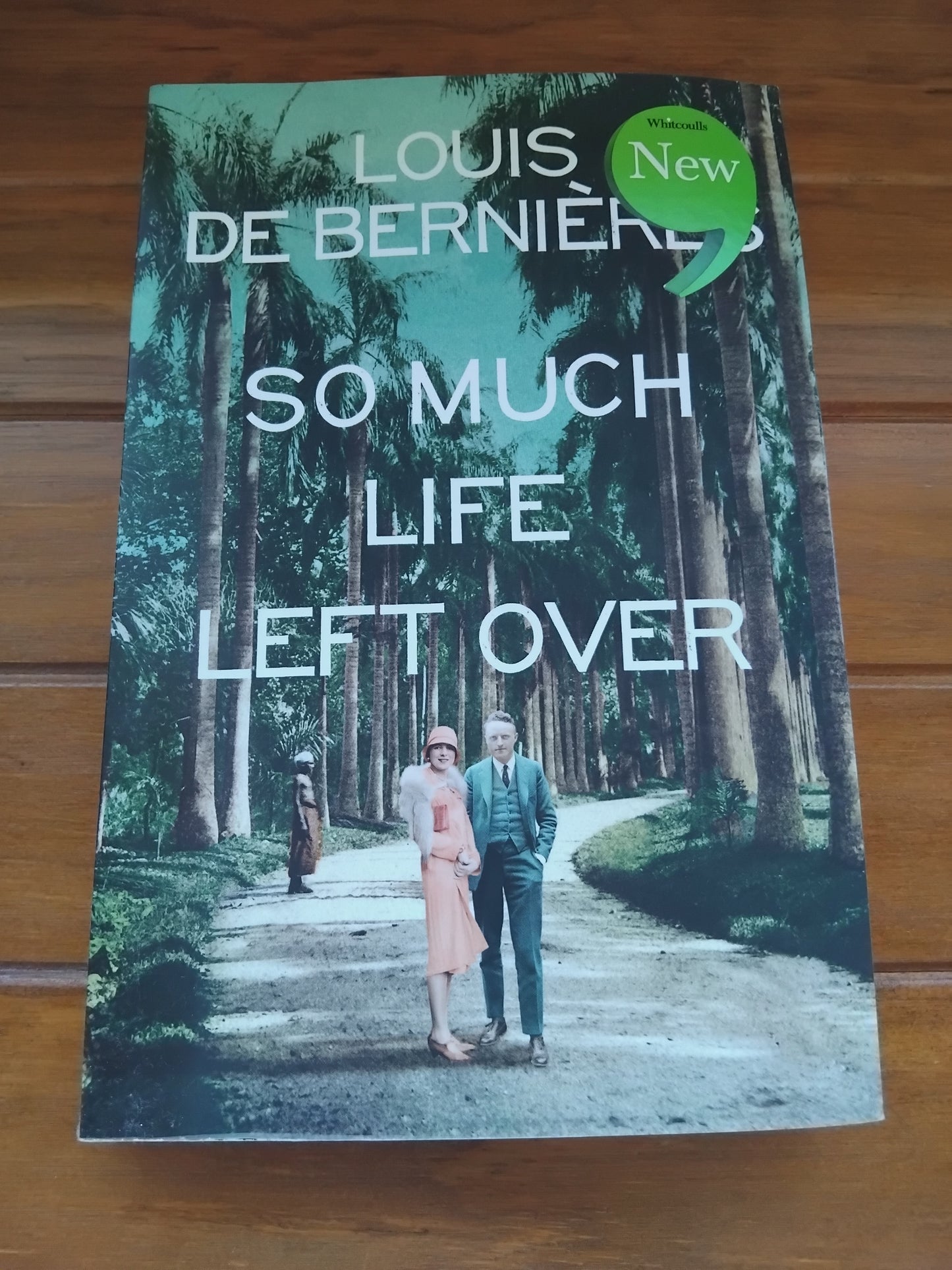 de Bernieres,  Louis - So Much Life Left Over