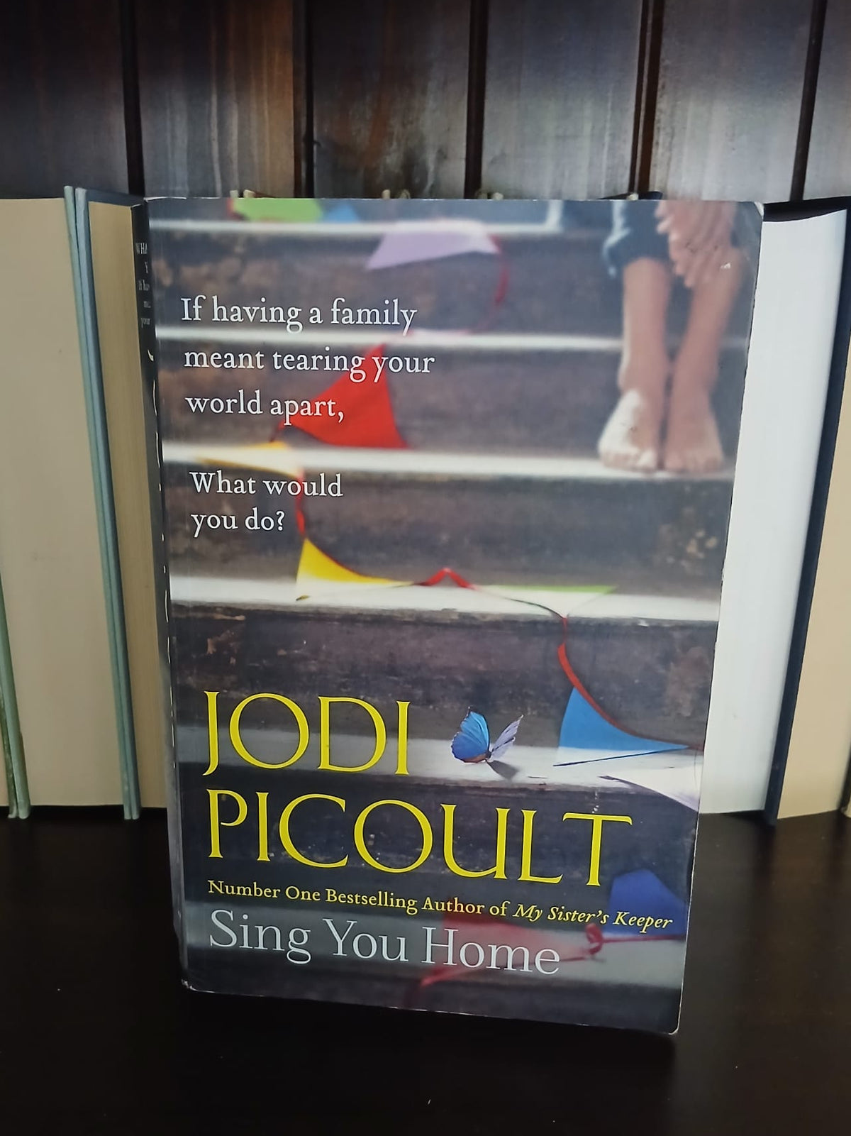 Picoult, Jodi - Sing You Home