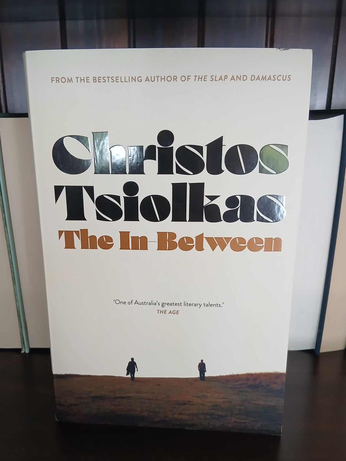 Tsiolkas, Christos - The In-Between