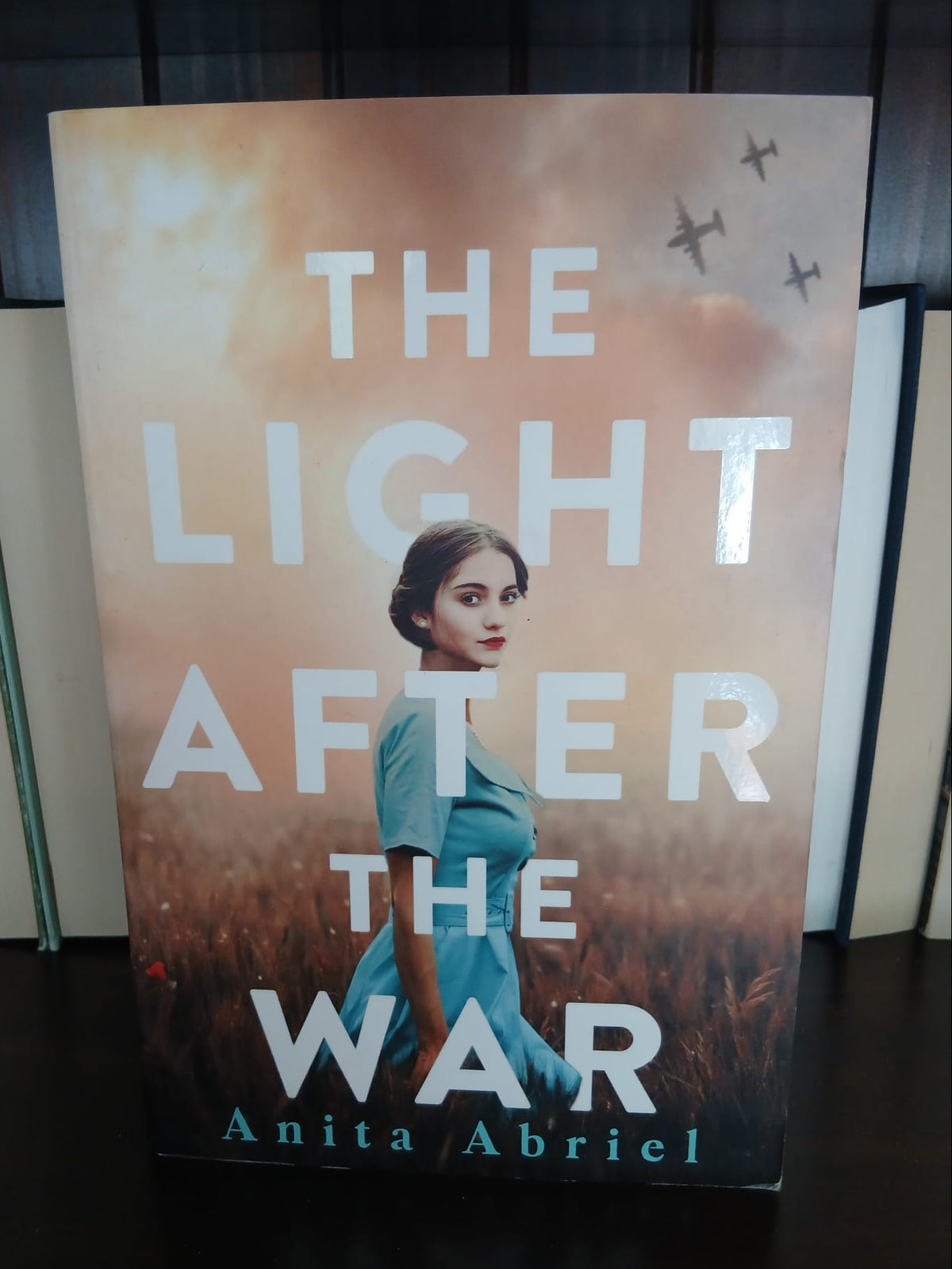 Abriel, Anita - The Light After The War