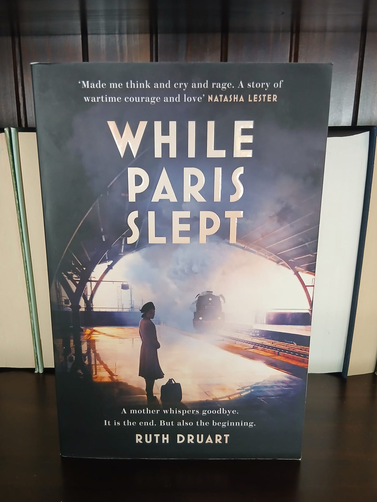 Druart, Ruth - While Paris Slept