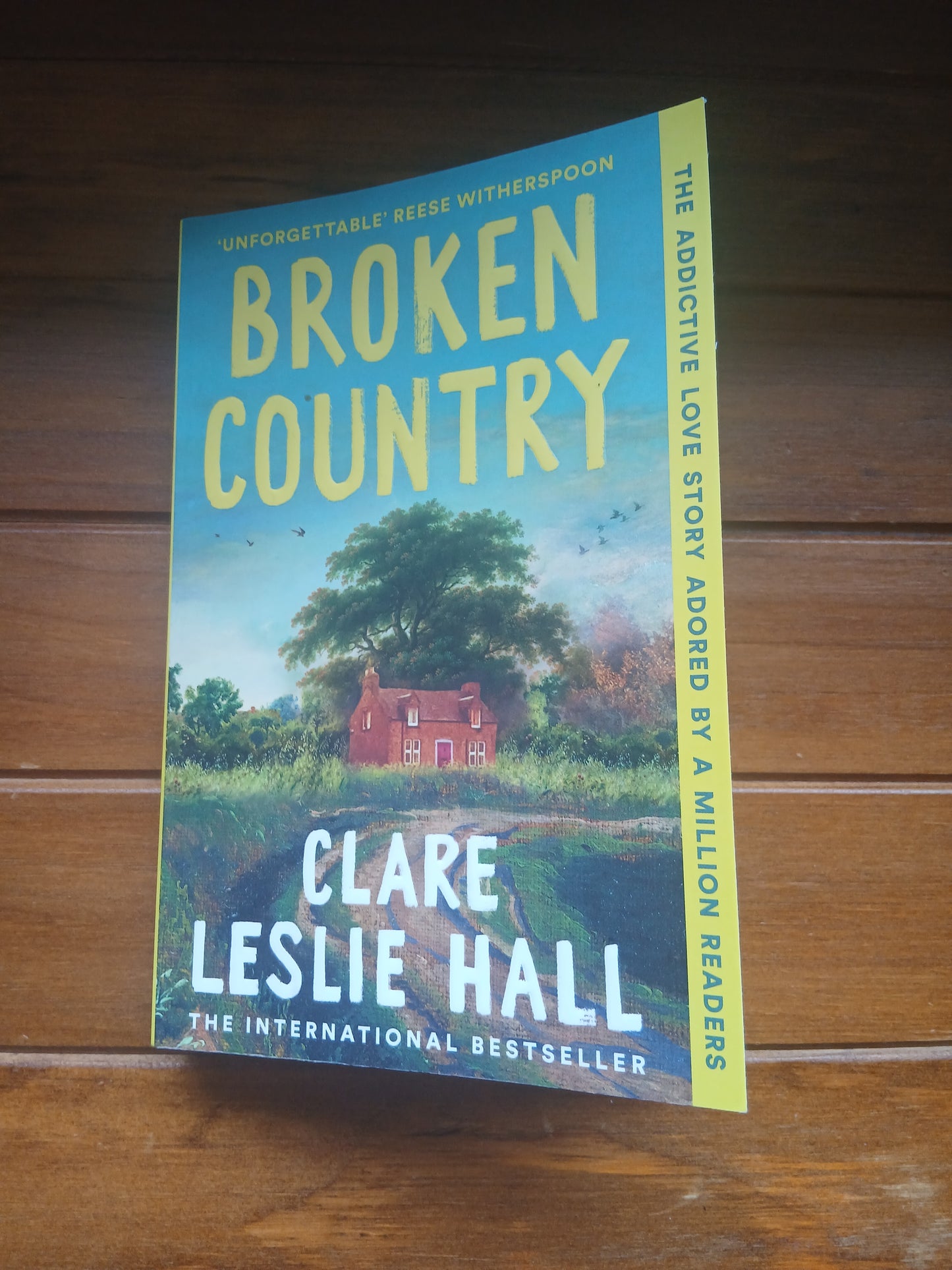 Hall, Clare Leslie - Broken Country