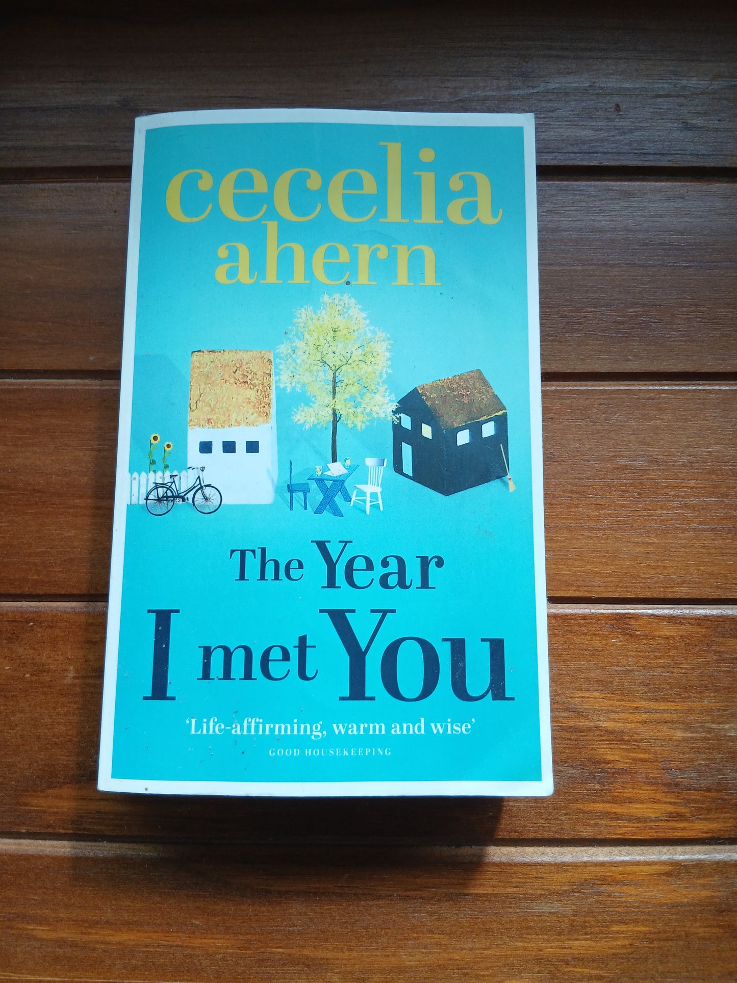 Ahern, Cecelia - The Year I Met You